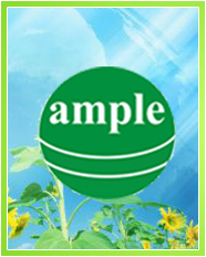 about ample globe